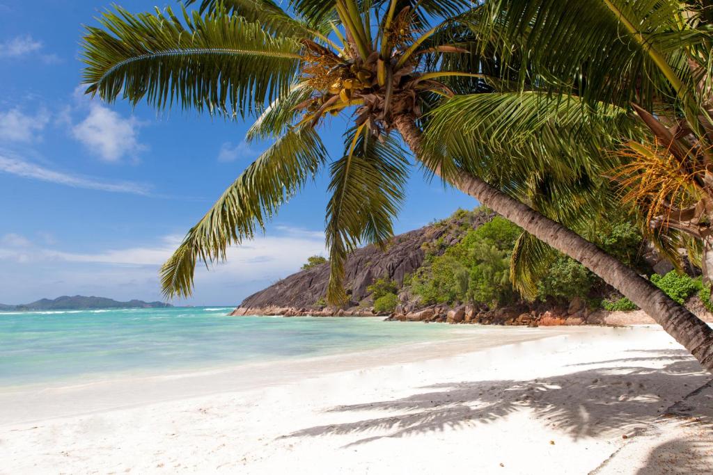 Praslin Luxury Pool Villa in Mahé