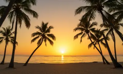 The Most Beautiful Beaches